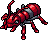 Giant Soldier Ant